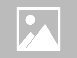 亚光科技董事长李跃先被留置