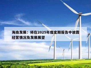 海南发展：将在2025年度定期报告中披露经营情况及发展展望